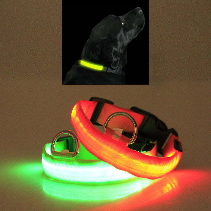 Aroura Lights Collar