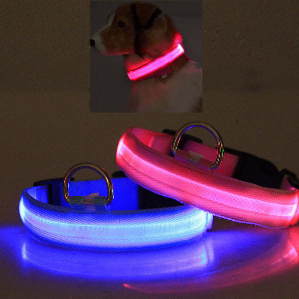 Aroura Lights Collar